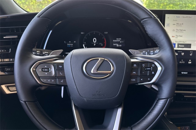 2025 Lexus RX 350 Premium photo 19