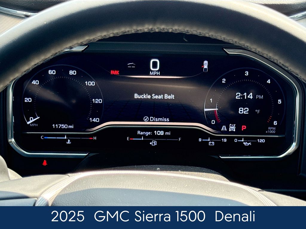 2025 Gmc Sierra 1500 Denali photo 3