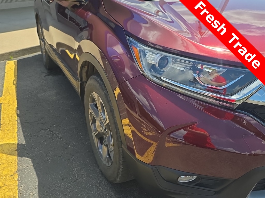 2019 Honda CR-V EX-L photo 4