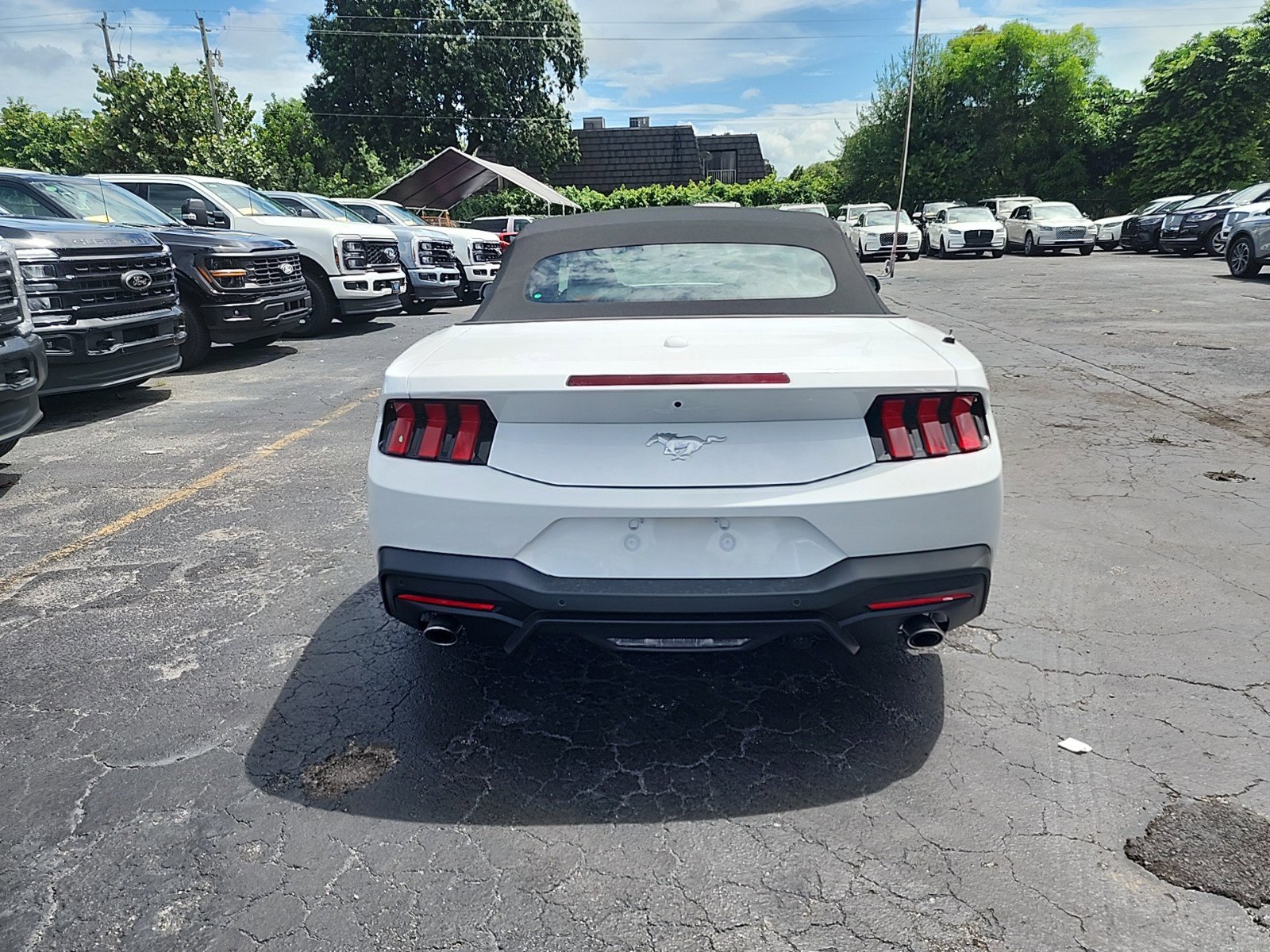 New 2024 Ford Mustang EcoBoost Premium Convertible in Royal Palm Beach
