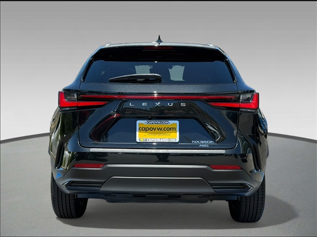 2024 Lexus NX 350h Premium photo 5
