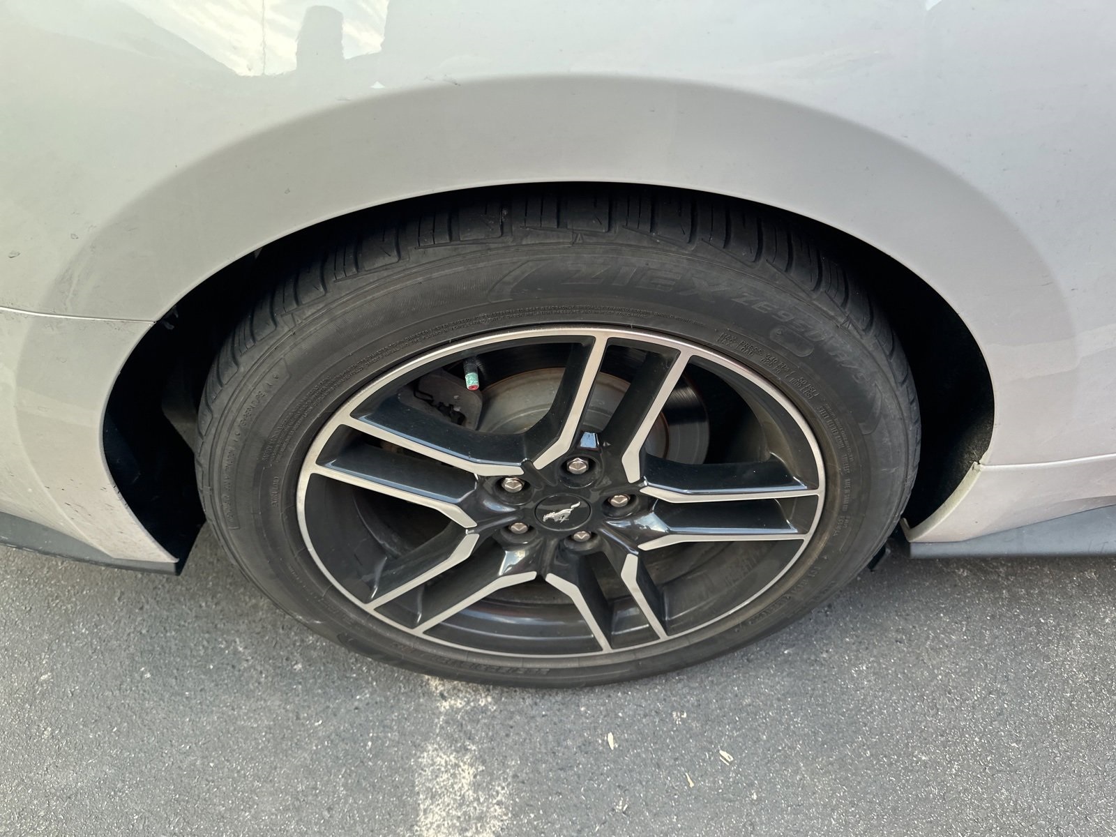 2019 Ford Mustang EcoBoost photo 3