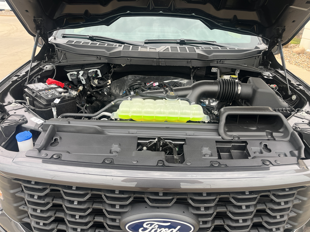 2025 Ford F-150 STX photo 11