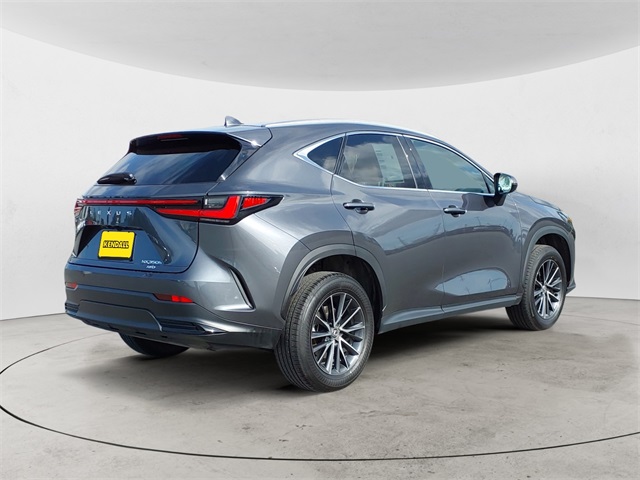 2024 Lexus NX 350h Premium photo 5