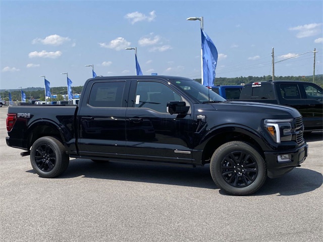 2025 Ford F-150 Platinum photo 4