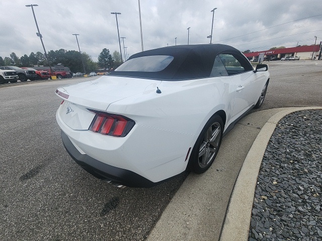 2024 Ford Mustang EcoBoost photo 10