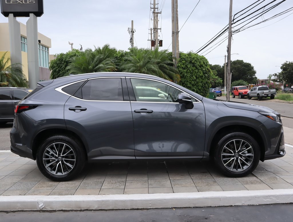 2025 Lexus NX 250 Premium photo 4