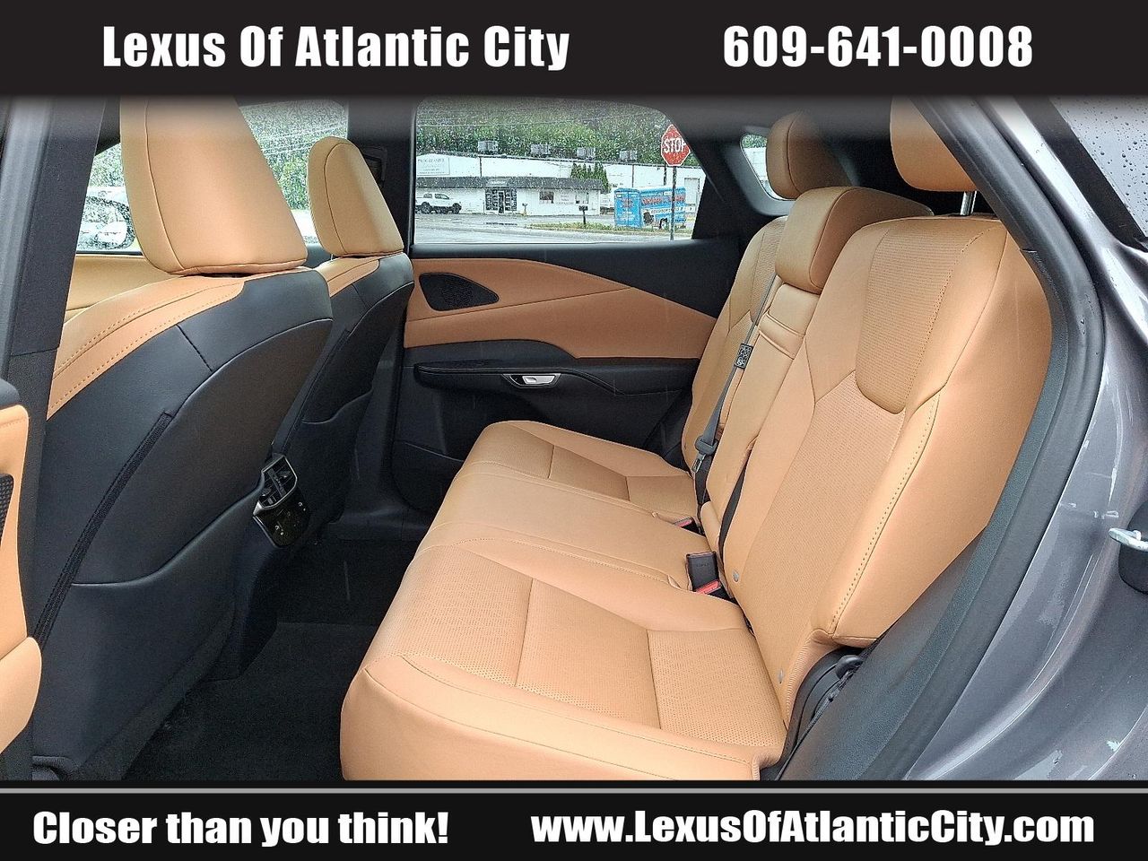 2023 Lexus RX 350h photo 10