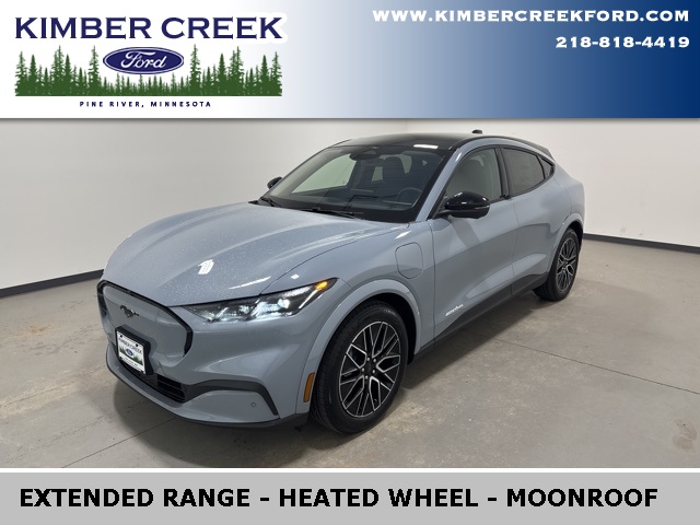 2025 Ford Mustang Mach-E Premium AWD's photo