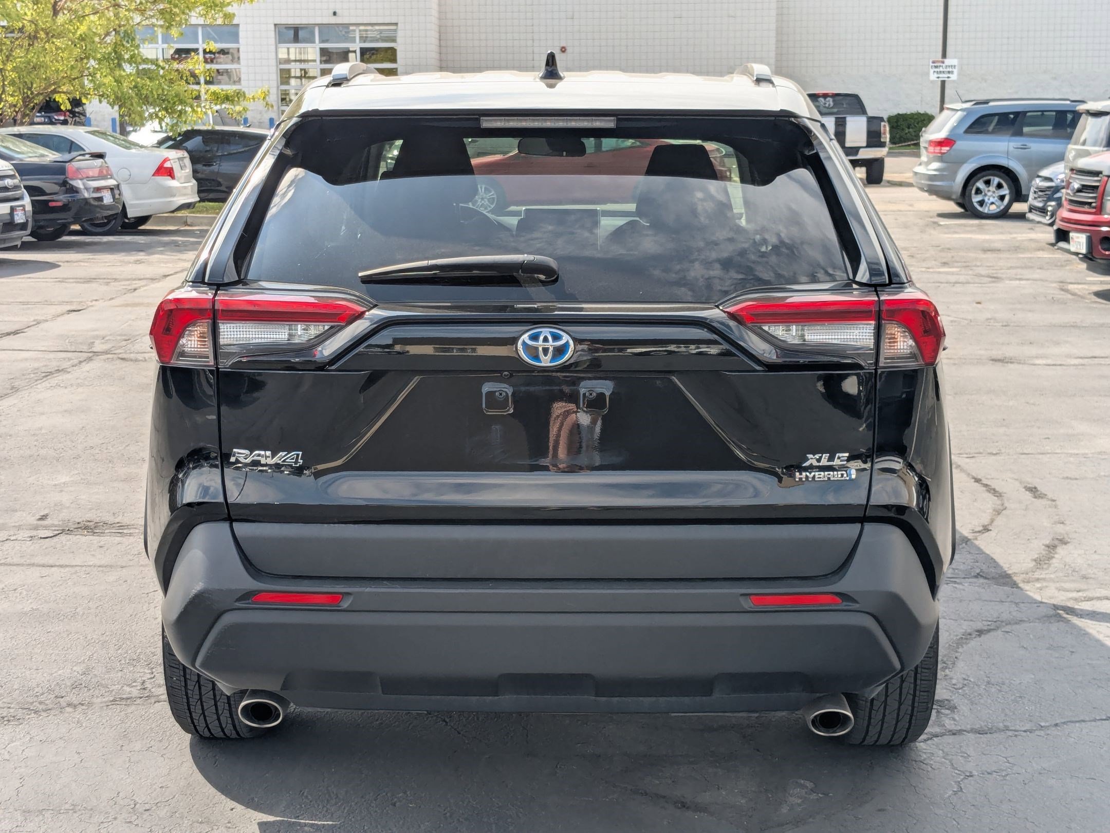 2024 Toyota RAV4 Hybrid XLE photo 4