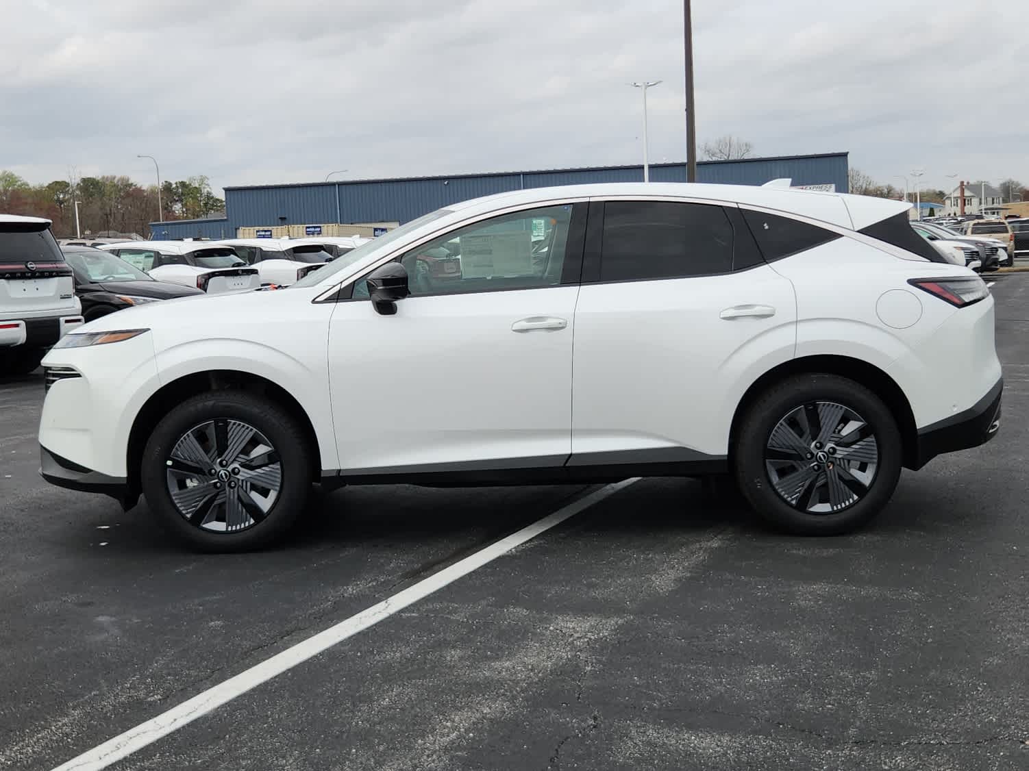 2025 Nissan Murano SL photo 5