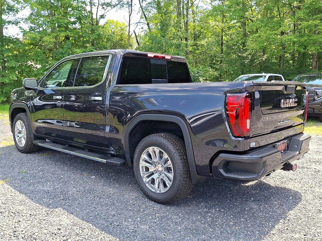 2025 Gmc Sierra 1500 Denali photo 2