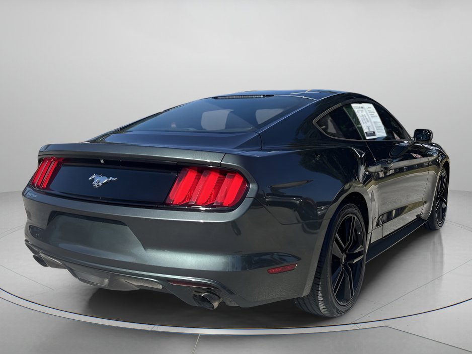 2016 Ford Mustang EcoBoost photo 3