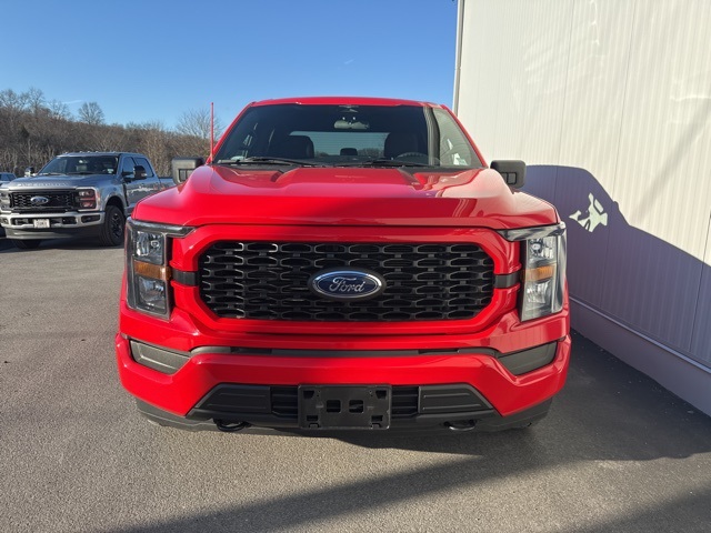 2023 Ford F-150 XL's photo