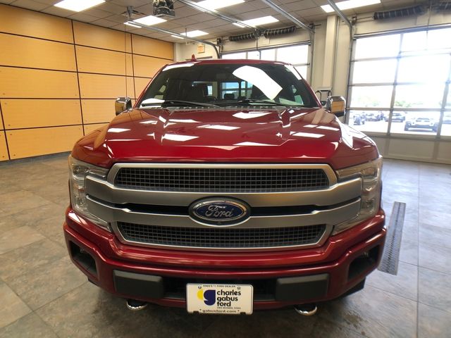 2019 Ford F-150 Platinum photo 3