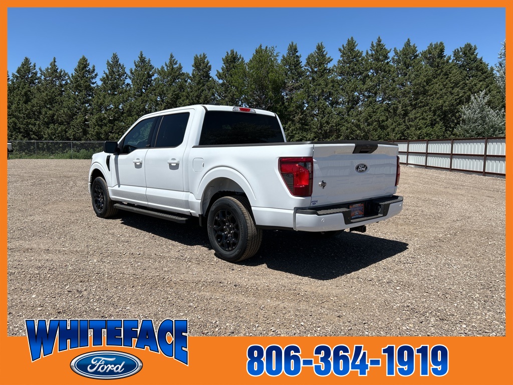 2025 Ford F-150 XLT photo 3