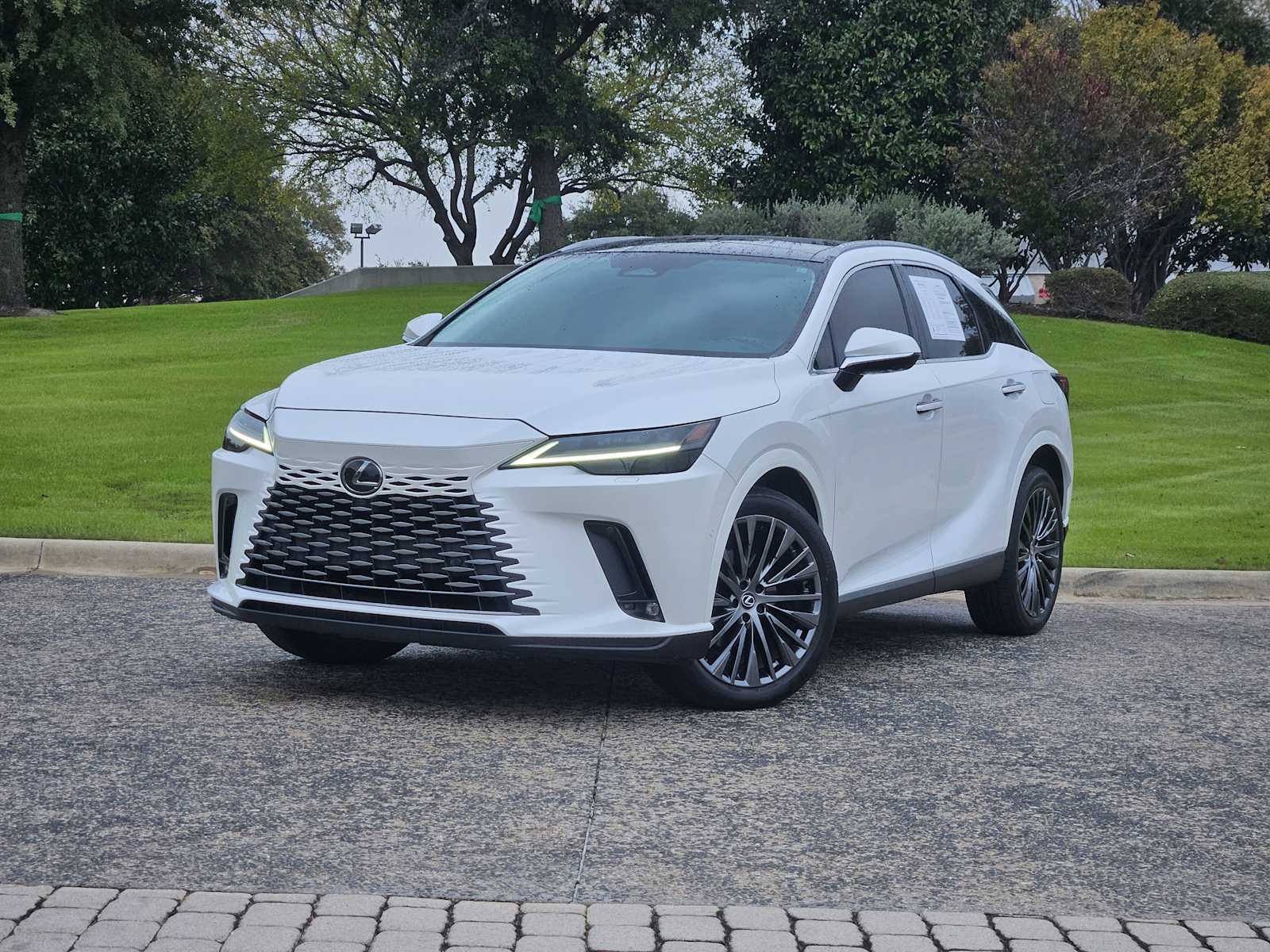 2023 Lexus RX 350's photo
