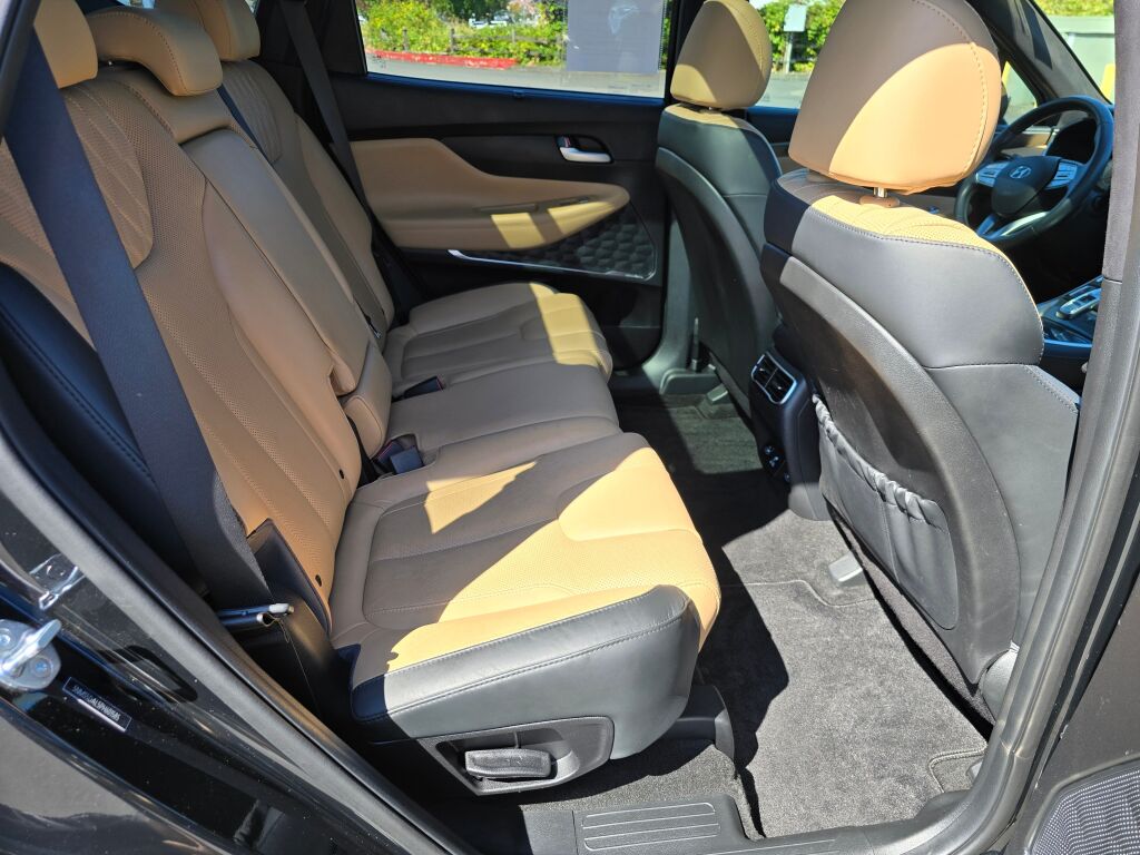 2023 Hyundai Santa Fe Calligraphy photo 11