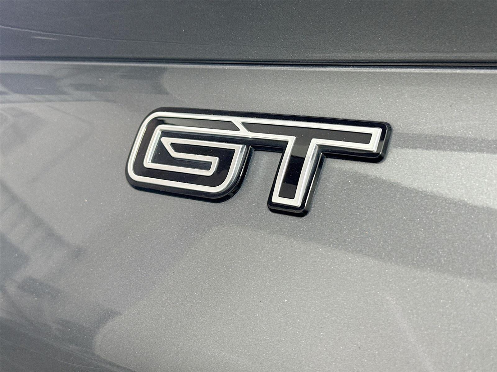 2023 Ford Mustang Mach-E GT photo 10