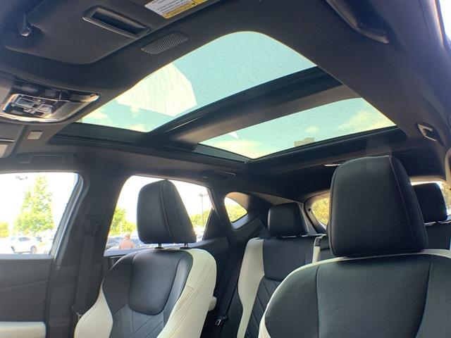 2023 Lexus NX 350 Luxury photo 21