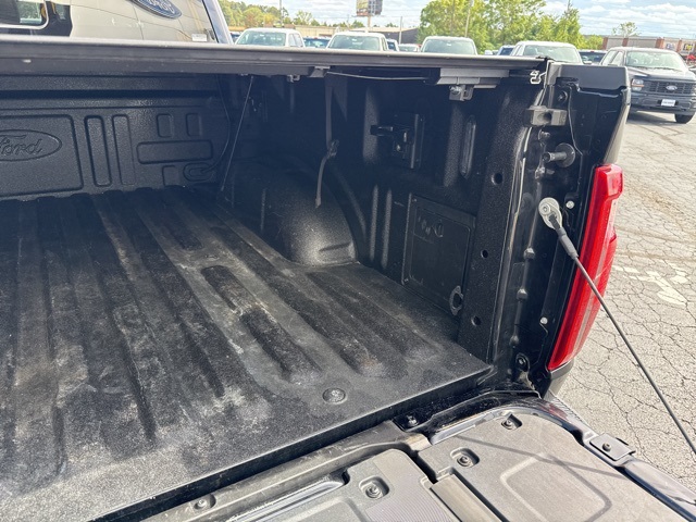 2024 Ford F-150 Platinum photo 35