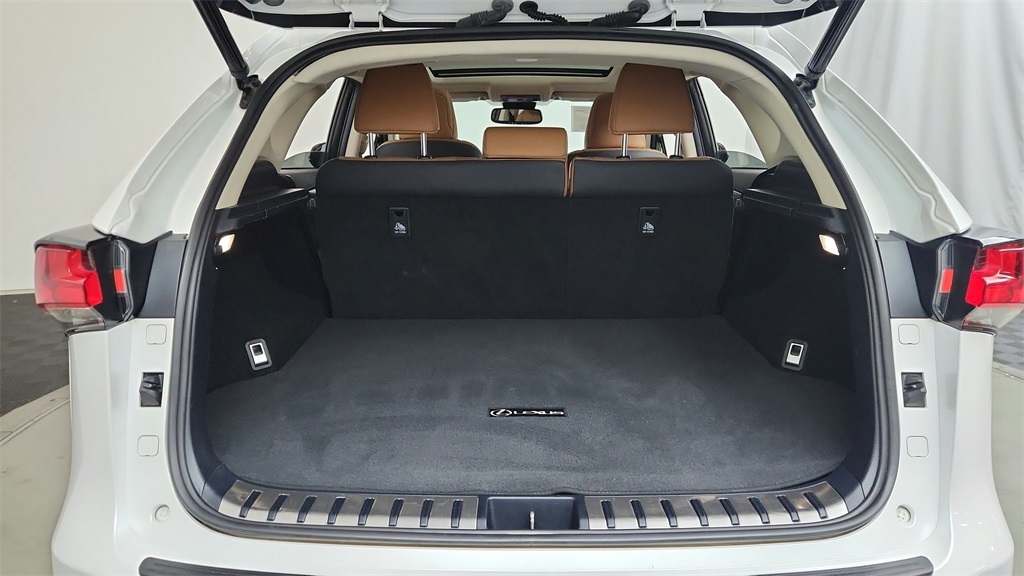 2018 Lexus NX 300 Luxury photo 13