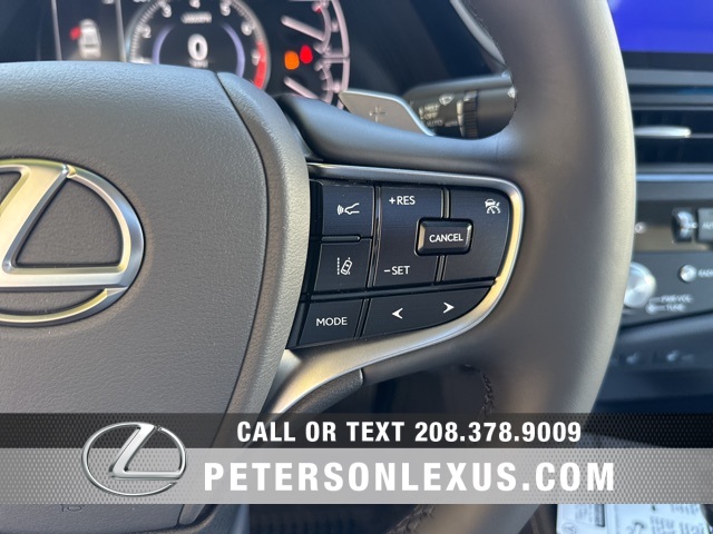 2025 Lexus ES 350 photo 21