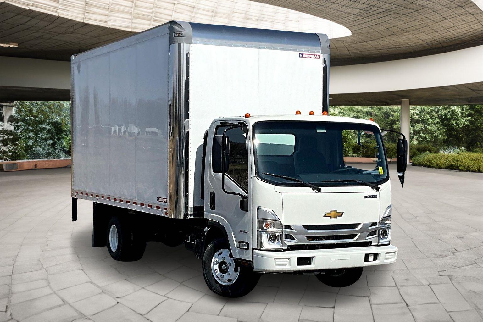 New 2025 Arc White Chevrolet MEDIUM ASH GRAY image 1