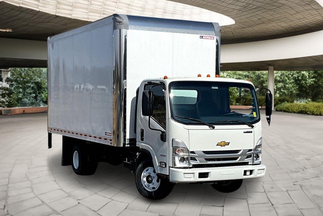 2025 Chevrolet Low Cab Forward 3500 MEDIUM ASH GRAY