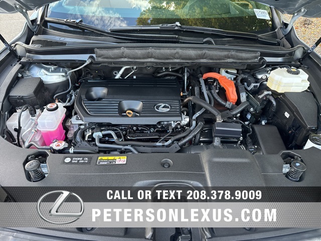 2024 Lexus RX 350h Premium photo 9