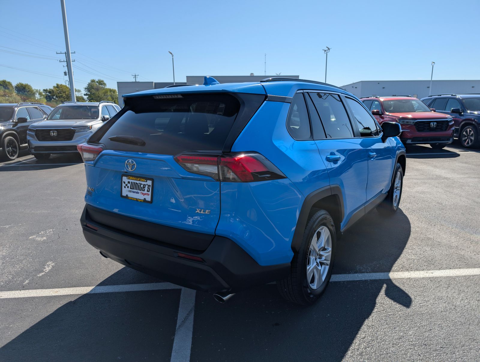 2020 Toyota RAV4 XLE photo 6