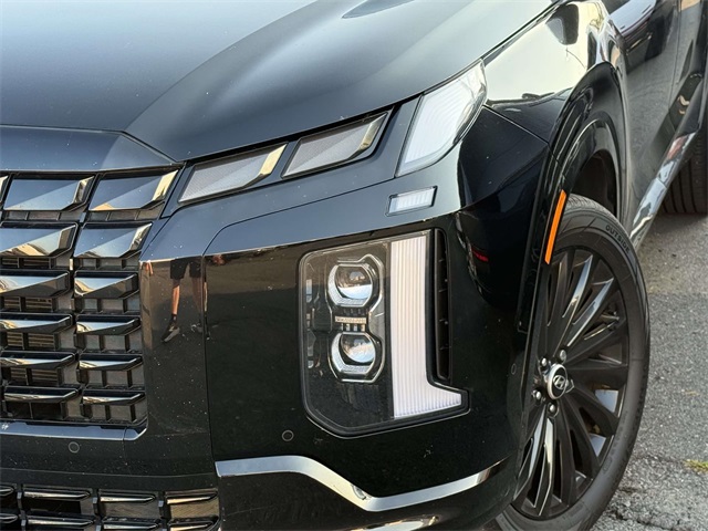 2025 Hyundai Palisade Calligraphy photo 10