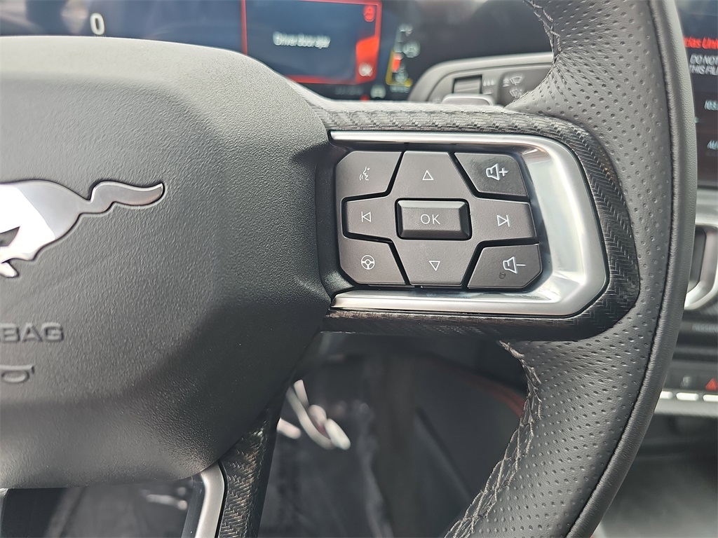 2025 Ford Mustang GT Premium photo 16
