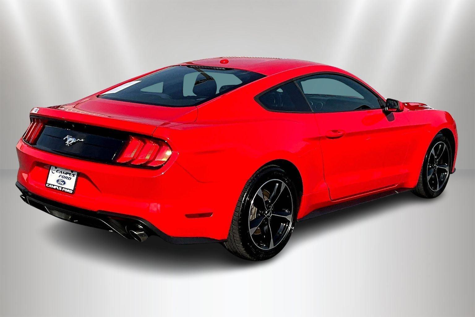 Used 2019 Ford Mustang EcoBoost with VIN 1FA6P8TH5K5124685 for sale in Waynesboro, VA