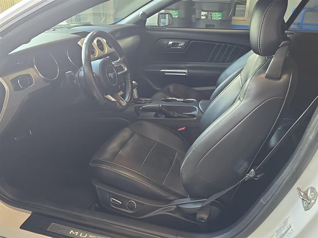 2016 Ford Mustang EcoBoost Premium photo 2