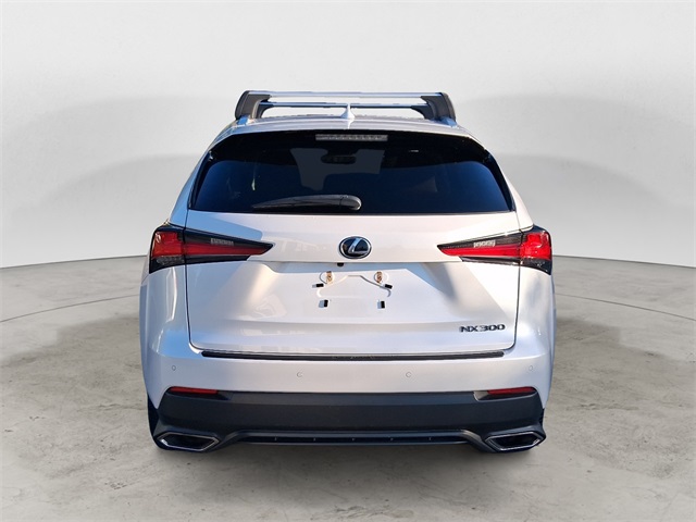 2019 Lexus NX 300 Luxury photo 4