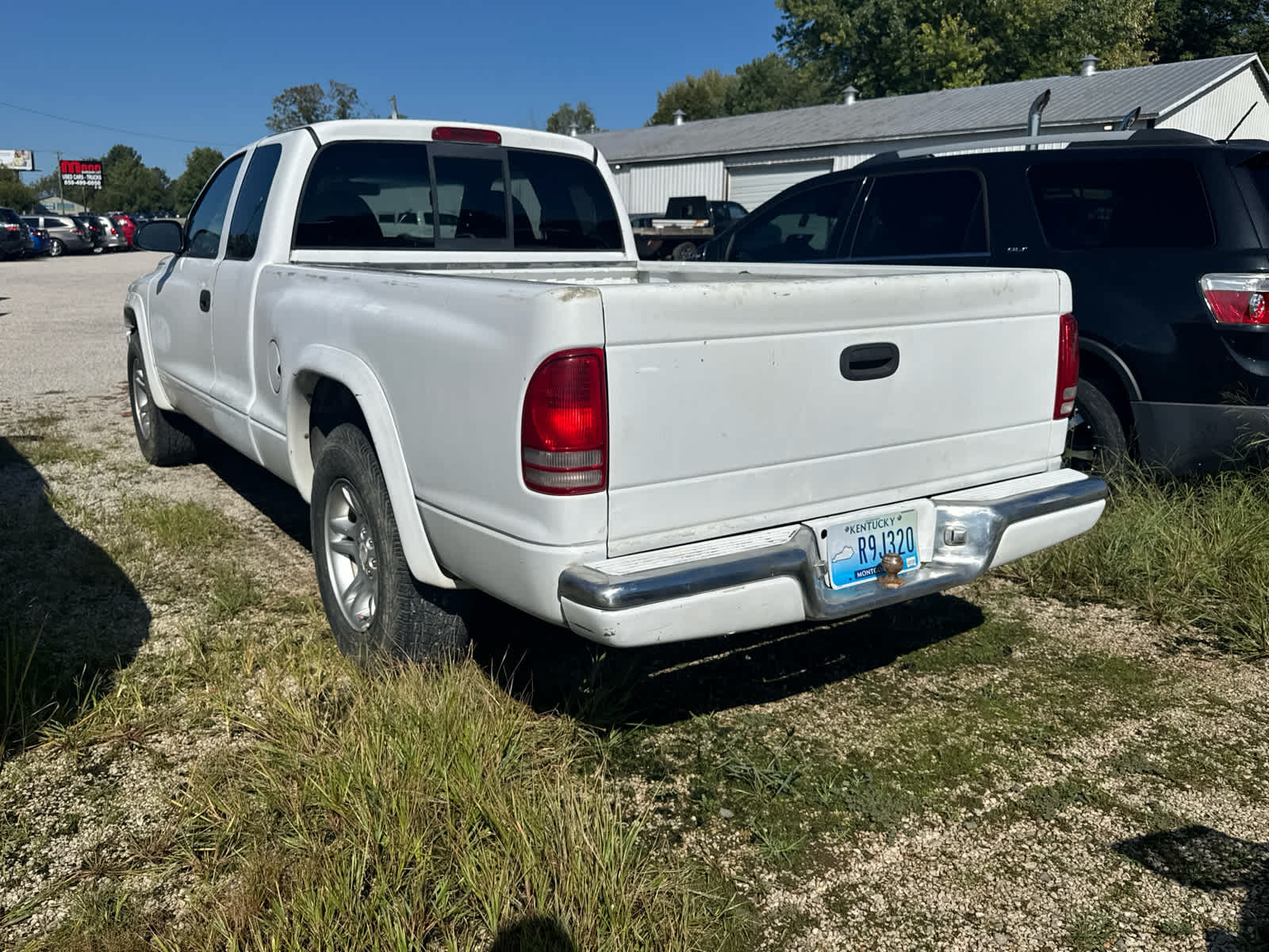 1998 Dodge Dakota Sport photo 3
