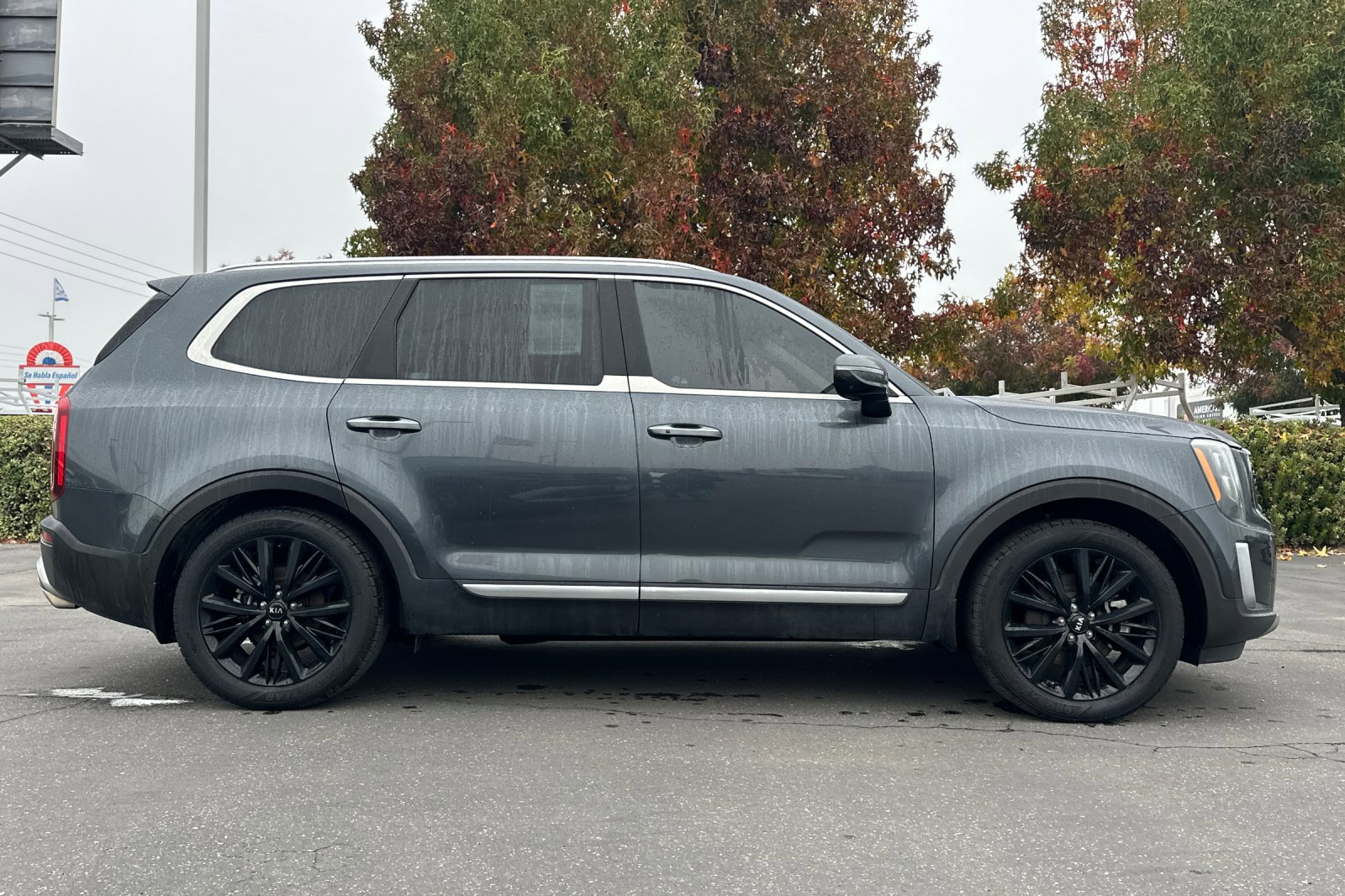 2020 Kia Telluride SX photo 3