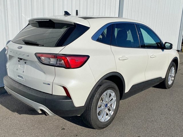 2020 Ford Escape SE photo 3