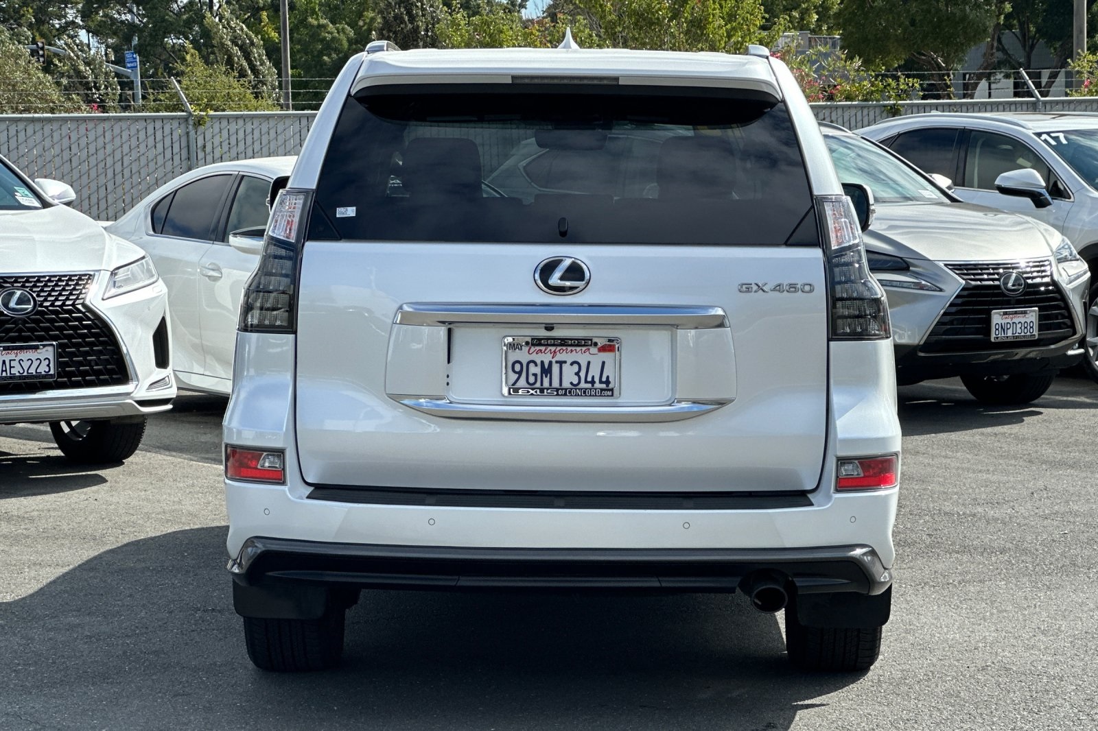 2023 Lexus GX 460 Luxury photo 5