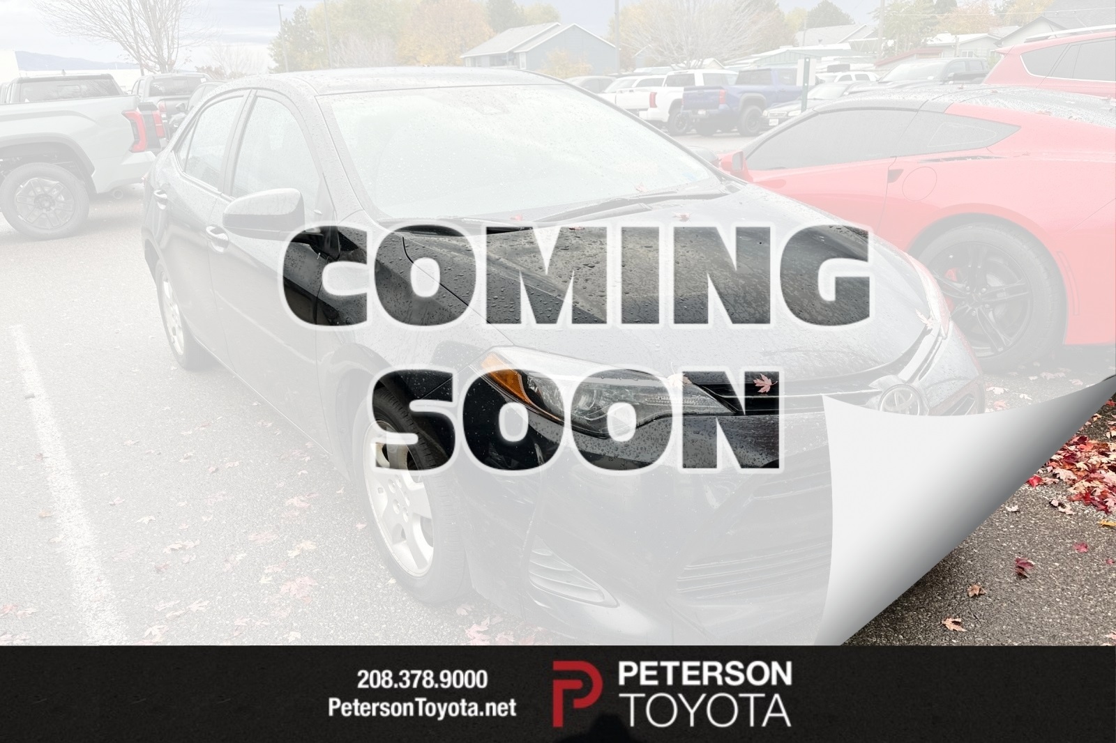 2019 Toyota Corolla LE