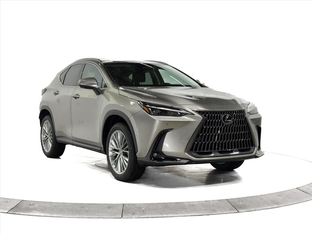2026 Lexus NX 350's photo