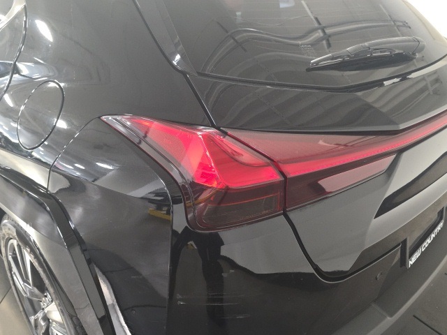 2022 Lexus UX 250h photo 24