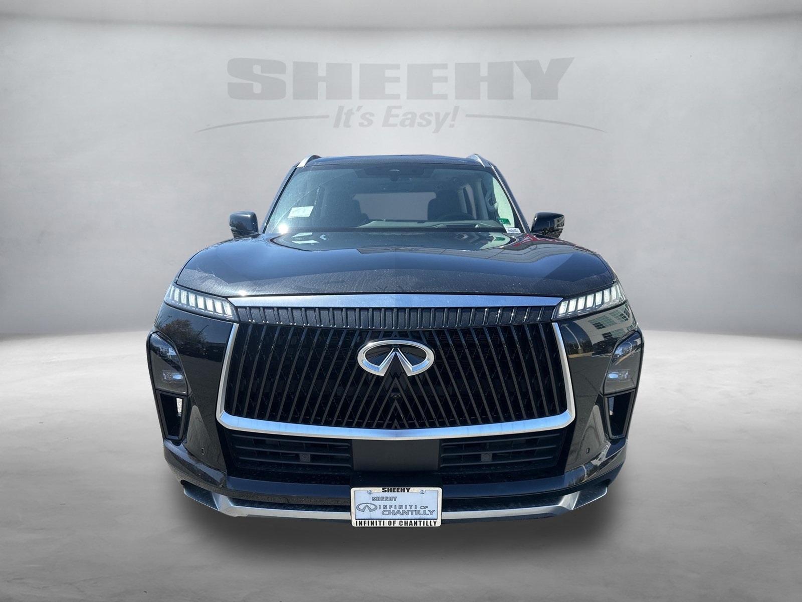 2025 Infiniti QX80 Luxe photo 2
