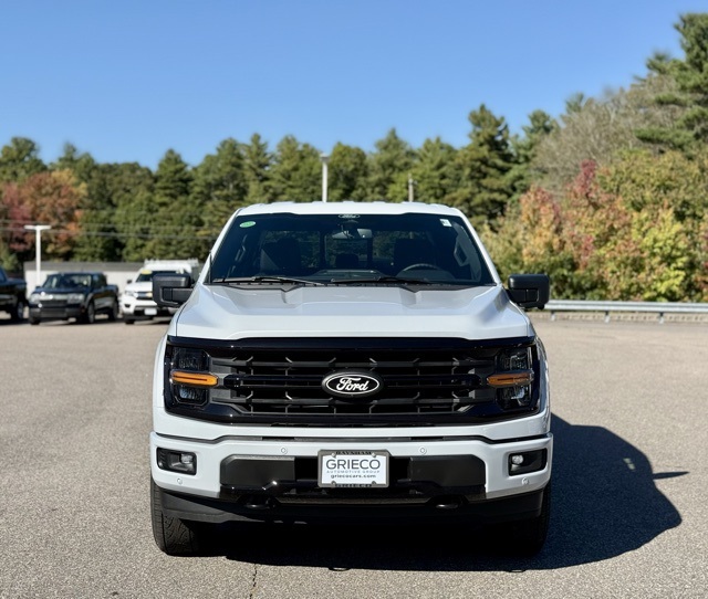 2025 Ford F-150 XLT photo 10