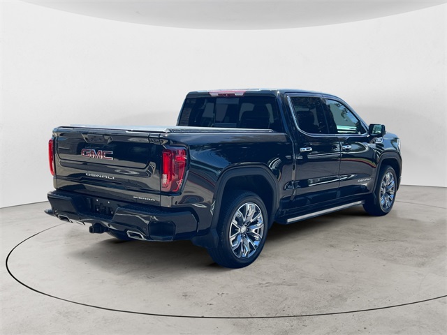 2024 Gmc Sierra 1500 Denali photo 5