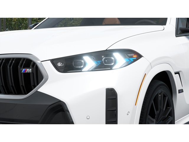 2026 Bmw X6 photo 4