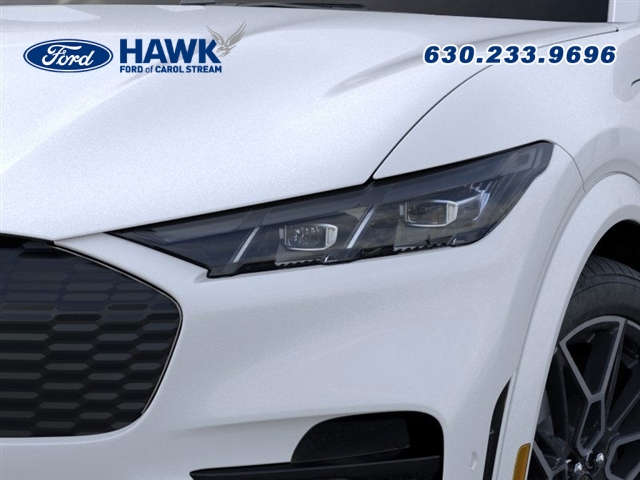 2025 Ford Mustang Mach-E GT photo 14