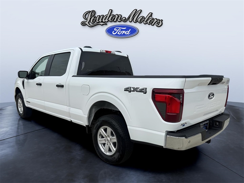 2025 Ford F-150 XL photo 3