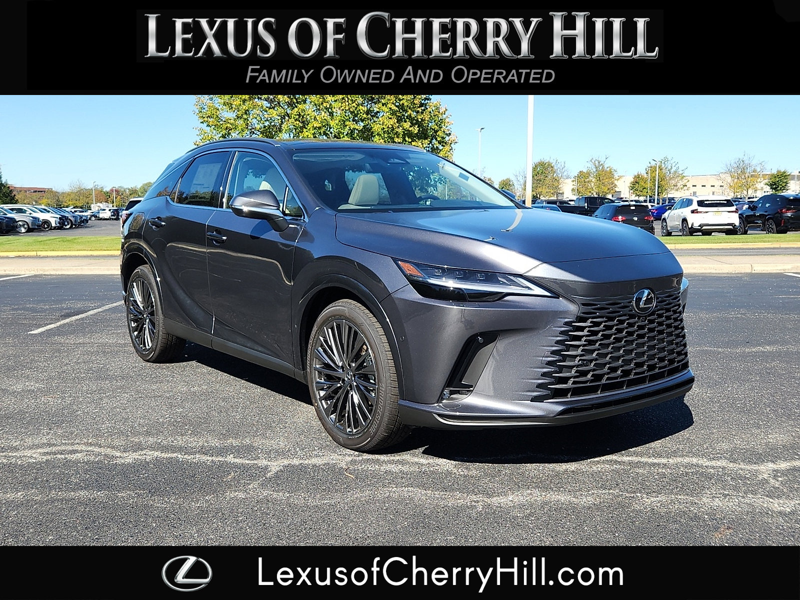 2025 Lexus RX PHEV 450h+'s photo